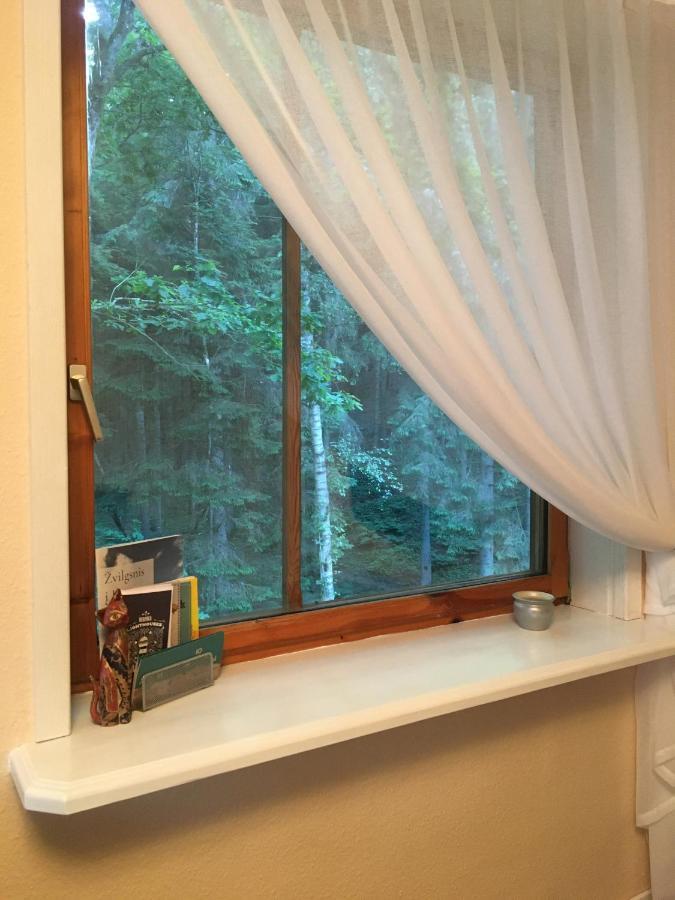 Apartamentai - Gintaro Ilanka Apartment Juodkrante